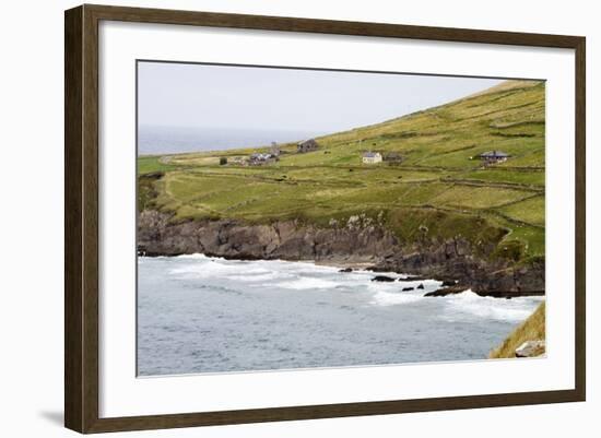 Animals Graze alongside the Atlantic Ocean-Hal Beral-Framed Photographic Print