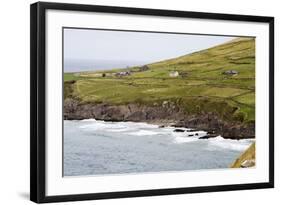 Animals Graze alongside the Atlantic Ocean-Hal Beral-Framed Photographic Print