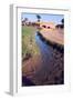 Animals Grazing Beside an Irrigation or Drainage Ditch, Egypt, 20th Century-null-Framed Photographic Print
