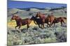 Animals - Horses Running on the Planes-Trends International-Mounted Poster