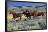 Animals - Horses Running on the Planes-Trends International-Framed Poster