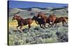 Animals - Horses Running on the Planes-Trends International-Stretched Canvas