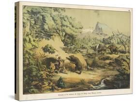 Animals (Including Homo Sapiens) at the Time of the Flood-Ferdinand Von Hochstetter-Stretched Canvas