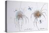 Animals (insects), Bernard the Lazy Spider, 1986 (ink on paper)-Ralph Steadman-Stretched Canvas