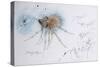 Animals (insects), Bernard the Lazy Spider, 1986 (ink on paper)-Ralph Steadman-Stretched Canvas