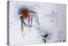 Animals (insects), Bernard the Lazy Spider, 1986 (ink on paper)-Ralph Steadman-Stretched Canvas