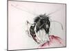 Animals (insects)-Ralph Steadman-Mounted Giclee Print