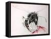 Animals (insects)-Ralph Steadman-Framed Stretched Canvas