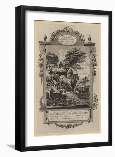 Animals of the Cape of Good-Hope-null-Framed Giclee Print