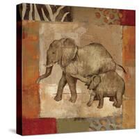 Animals on Safari III-Silvia Vassileva-Stretched Canvas