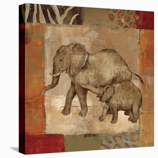 Animals on Safari III-Silvia Vassileva-Stretched Canvas