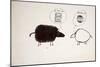 ANIMALS (SHEEP) REDO (drawing)-Ralph Steadman-Mounted Giclee Print