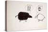 ANIMALS (SHEEP) REDO (drawing)-Ralph Steadman-Stretched Canvas