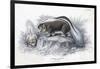 Animals, Skunk 19C-Col H Smith-Framed Art Print