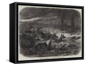Animals Taking Refuge from a Prairie Fire-Johann Baptist Zwecker-Framed Stretched Canvas