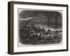 Animals Taking Refuge from a Prairie Fire-Johann Baptist Zwecker-Framed Giclee Print