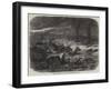 Animals Taking Refuge from a Prairie Fire-Johann Baptist Zwecker-Framed Giclee Print