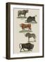 Animals-null-Framed Art Print