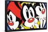 Animaniacs - Faces-Trends International-Framed Poster