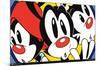 Animaniacs - Faces-Trends International-Mounted Poster