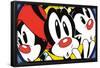 Animaniacs - Faces-Trends International-Framed Poster