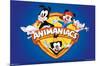 Animaniacs - Shield-Trends International-Mounted Poster