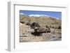 Animas Forks Mine Ruins, Animas Forks, Colorado, United States of America, North America-Richard Maschmeyer-Framed Photographic Print