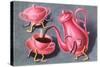 Animated Coffee Pot and Cup-null-Stretched Canvas