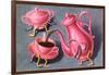 Animated Coffee Pot and Cup-null-Framed Art Print