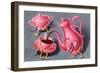 Animated Coffee Pot and Cup-Found Image Press-Framed Giclee Print