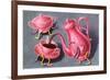 Animated Coffee Pot and Cup-Found Image Press-Framed Giclee Print