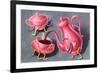 Animated Coffee Pot and Cup-Found Image Press-Framed Giclee Print