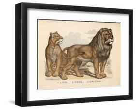 Animaux d'Afrique, Lion-null-Framed Art Print