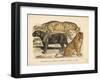 Animaux d'Afrique, Panthere-null-Framed Art Print