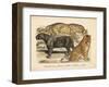 Animaux d'Afrique, Panthere-null-Framed Art Print