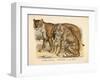 Animaux d'Afrique, Tigre-null-Framed Art Print