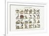 Animaux divers-null-Framed Giclee Print