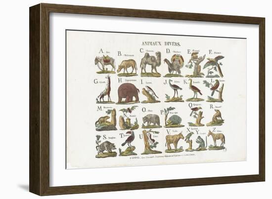 Animaux divers-null-Framed Giclee Print