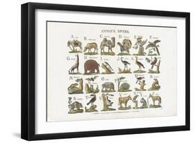 Animaux divers-null-Framed Giclee Print