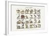 Animaux divers-null-Framed Giclee Print