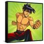 Anime Fighter-Harry Briggs-Framed Stretched Canvas