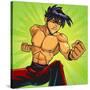 Anime Fighter-Harry Briggs-Stretched Canvas