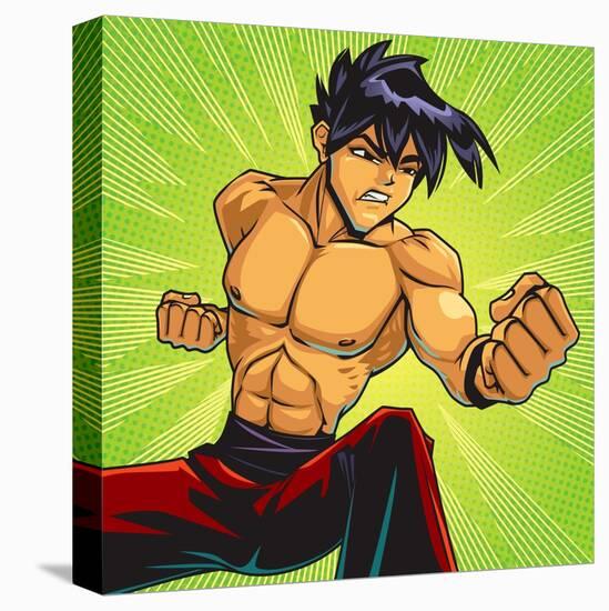 Anime Fighter-Harry Briggs-Stretched Canvas