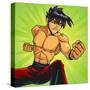 Anime Fighter-Harry Briggs-Stretched Canvas