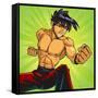 Anime Fighter-Harry Briggs-Framed Stretched Canvas