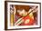 Anime Fighter-Harry Briggs-Framed Giclee Print