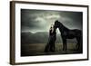 Animus-Nadja Berberovic-Framed Photographic Print