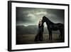 Animus-Nadja Berberovic-Framed Photographic Print