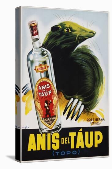 Anis Del Taup Poster-null-Stretched Canvas