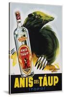 Anis Del Taup Poster-null-Stretched Canvas